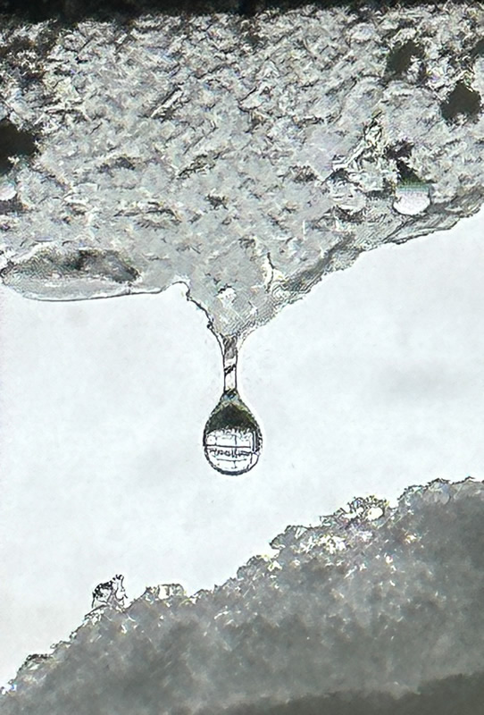 Droplet by Brian Clark